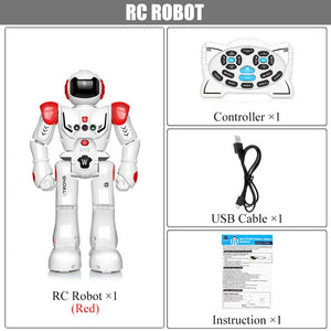 DODOELEPHANT Robot USB Charging Dancing Gesture Action Figure Toy Robot Control RC Robot Toy for Boys Children Birthday Gift